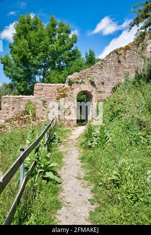 Treppe zur Ruine Scherenburg, Schloss, Weg, Sommer, Gemünden am Main, Main-Spessart, Franken, Bayern, Deutschland, Europa, Stockfoto