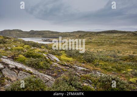 Bridges Island im Beagle-Kanal auf Feuerland, Argentinien Stockfoto