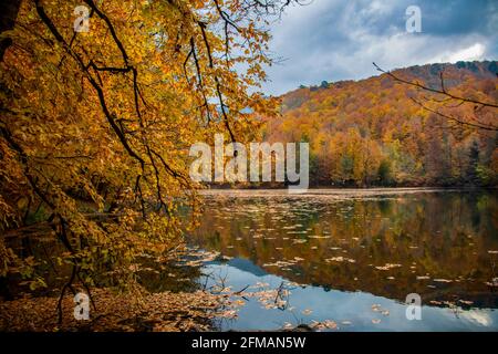 Yedigoller in der Türkei bietet mit seiner lebendigen und faszinierenden Natur eine atemberaubende Aussicht. Herbstlaub auf einem See mit dem Spiegelbild der Bäume daneben Stockfoto