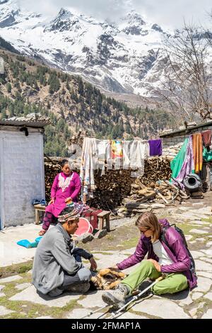 Junge Frau und Wanderführer spielen mit Welpen in der Nähe von Kalopani, Mustang, Nepal, Mustang, Nepal Stockfoto