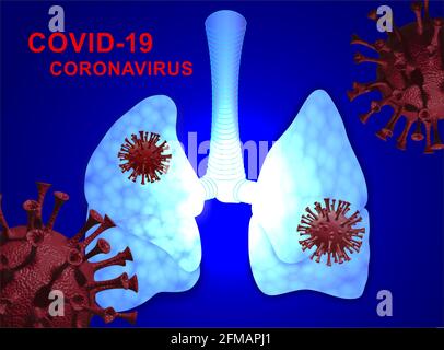 Menschliche Lunge, Covid-19, Coronavirus Stockfoto