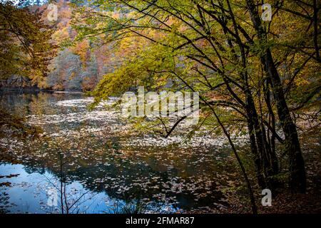 Yedigoller in der Türkei bietet mit seiner lebendigen und faszinierenden Natur eine atemberaubende Aussicht. Herbstlaub auf einem See mit dem Spiegelbild der Bäume daneben Stockfoto