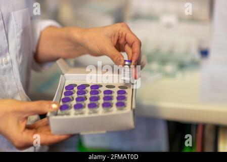 Pfizer BioNTech COVID 19-Impfstoff Stockfoto