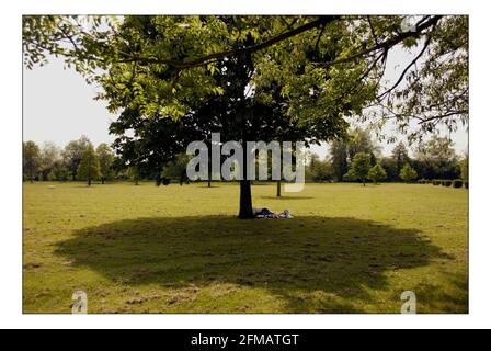 Herrlicher Sommer Henley über Thamespic David Sandison 27/5/2005 Stockfoto