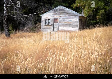 Altes Bauernhaus in Quailburn, in der Nähe von Omarama, McKenzie Country, Canterbury, Südinsel, Neuseeland Stockfoto