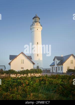 Hirtshals Leuchtturm, Dänemark, Europa Stockfoto