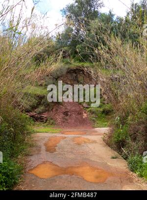 Vertikale Aufnahme einer schmalen Straße, die von Zweigen und umgeben ist Bäume mit Pfützen darauf in Spanien Stockfoto