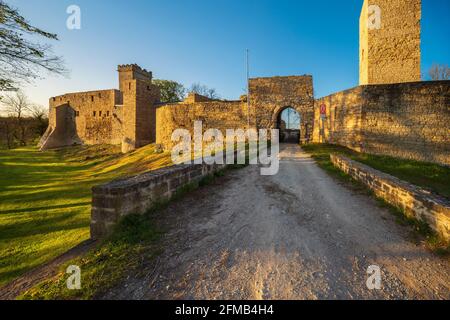 Deutschland, Sachsen-Anhalt, Eckartsberga, Burgruine Eckartsburg im Abendlicht Stockfoto