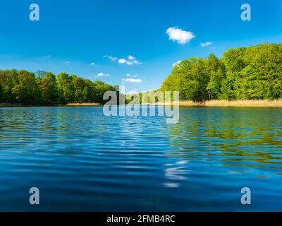 Deutschland, Brandenburg, Grumsiner Forst, UNESCO Weltkulturerbe Buchenwald Grumsin, großer Schwarzsee Stockfoto