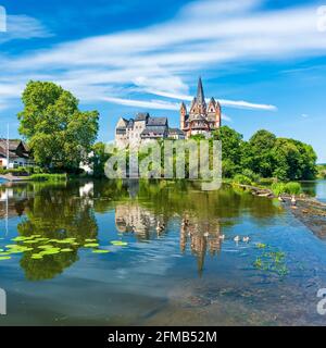 Deutschland, Hessen, Limburg an der Lahn, Limburger Dom St. Georg oder Georgsdom und Limburger Schloss, auch Limburger Schloss über der Lahn, Wasserspiegelung und ägyptische Gänse Stockfoto