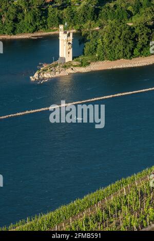 Deutschland, Hessen, Rheingau, Rüdesheim, Assmannshausen, Blick auf den Mausturm im Rhein bei Bingen, Weltkulturerbe Oberes Mittelrheintal Stockfoto