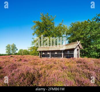 Typische Heidelandschaft mit traditionellem Bienenstock und blühender Heide, Lüneburger Heide, Niedersachsen, Deutschland Stockfoto