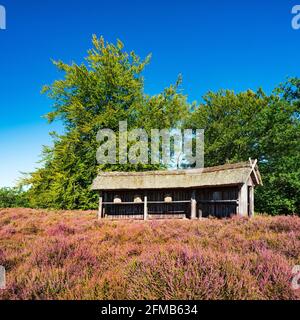 Typische Heidelandschaft mit traditionellem Bienenstock und blühender Heide, Lüneburger Heide, Niedersachsen, Deutschland Stockfoto