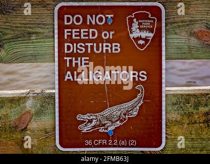 Ein Schild warnt Besucher davor, die Alligatoren am Alligatorenteich in der Davis Bayou-Gegend der Gulf Islands National Seashore zu füttern oder zu stören. Stockfoto