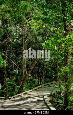 Der Weg der Natur ist auf der Gulf Islands National Seashore, 1. Mai 2021, in Ocean Springs Mississippi abgebildet. Stockfoto