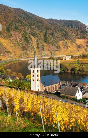 Deutschland, Rheinland-Pfalz, Bremm (Mosel), Weindorf Bremm an der Mosel mit Sankt Laurentius Kirche, in der hinteren Klosterruine Stuben Stockfoto