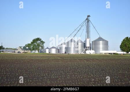 Maissilos auf einer Farm im Mittleren Westen der Vereinigten Staaten. Eine neue Maisernte wächst im Vordergrund. Stockfoto