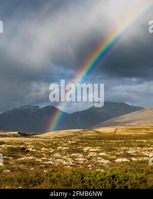 Rainbow, Rondane National Park, Oppland, Norwegen Stockfoto
