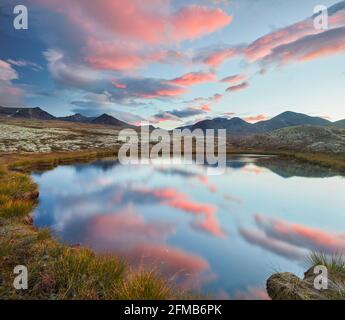 Kleiner See, Rondane National Park, Oppland, Norwegen Stockfoto