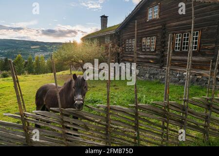 Historische Gebäude im Freilichtmuseum Maihaugen, Lillehammer, Innlandet, Norwegen Stockfoto