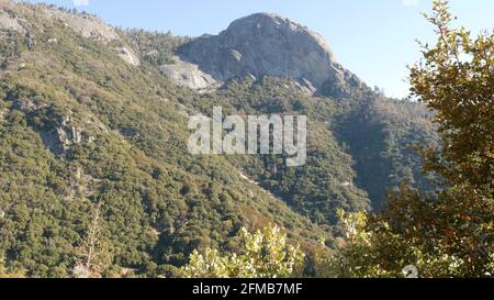 Panoramablick vom Moro Rock im Sequoia Forest Nationalpark, Nordkalifornien, USA. Mit Blick auf alte Wälder, Nadelbäume in den Bergen der Sierra Nevada. Aussichtspunkt in der Nähe des Kings Canyon. Stockfoto