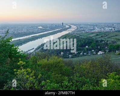 Blick von Kahlenberg über Wien, Donaucity, Donauinsel, Sonnenaufgang, Österreich Stockfoto