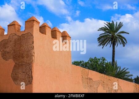 Die alte Stadtmauer von Marrakesch und eine grüne Palme Baum Stockfoto