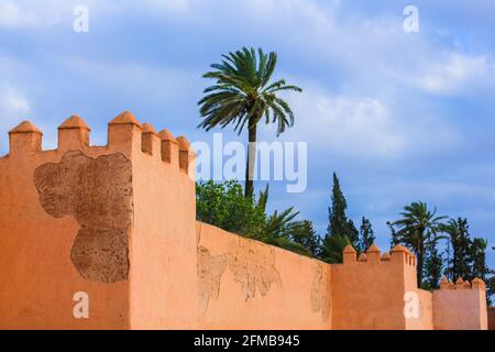 Die alte Stadtmauer von Marrakesch und eine grüne Palme Baum Stockfoto