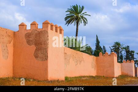 Die alte Stadtmauer von Marrakesch und eine grüne Palme Baum Stockfoto