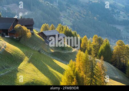 Bauernhof an der Großglockner Hochalpenstraße, Kärnten, Österreich Stockfoto