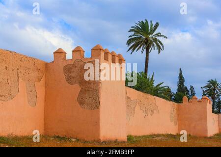 Die alte Stadtmauer von Marrakesch und eine grüne Palme Baum Stockfoto