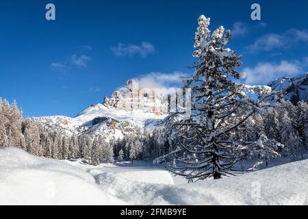 Drei Cime di Lavaredo Südwand, gesehen vom Antorno See nach einem starken Schneefall, Misurina, Auronzo di Cadore, Belluno, Veneto, Italien Stockfoto