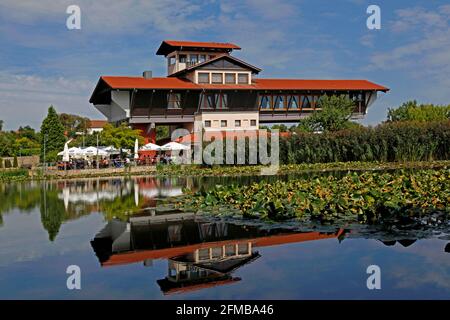 Haus der Deutschen Weinstraße, Bockenheim, Bezirk. Bad Dürkheim, Rheinland-Pfalz, Deutschland Stockfoto