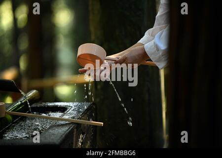 Touristische Hand, die eine Wasserpfanne von Chozucha hält und nach japanischer Tradition eine Nahaufnahme einer Plastikwasserpfanne wascht. Verschwommener Rückstand Stockfoto