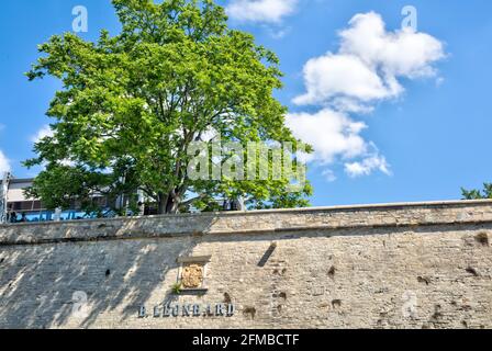 Bastion Leonhard, Zitadelle Petersberg, Petersberg, Festung, Sommer, Erfurt, Thüringen, Deutschland, Europa Stockfoto