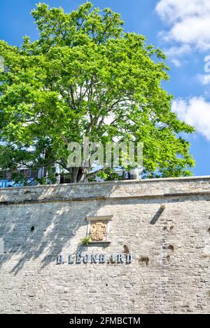 Bastion Leonhard, Zitadelle Petersberg, Petersberg, Festung, Sommer, Erfurt, Thüringen, Deutschland, Europa Stockfoto