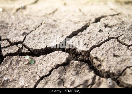 Tiefe Risse im Boden. Der trockene Boden rissig. Schwarzer Boden mit tiefen Spaltungen. Die Folgen eines Erdbebens. Stockfoto