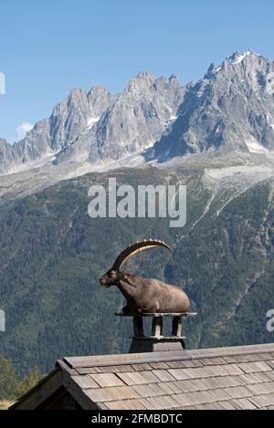 Alpine Steinbock (Capra Steinbock) auf einem Schornstein, Frankreich Stockfoto