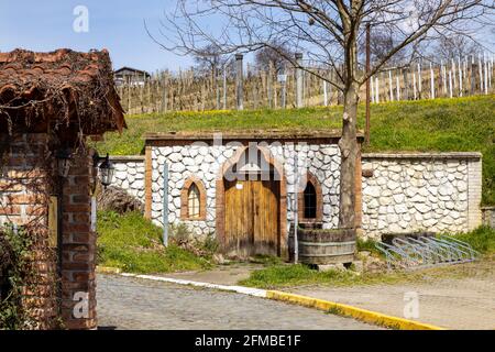 Kraví Hora, Vinařská obec Bořetice,Slovacko, Morava, Ceska republika / Kravi hora, Winzerdorf Borestice, Südmähren, Tschechische republik Stockfoto