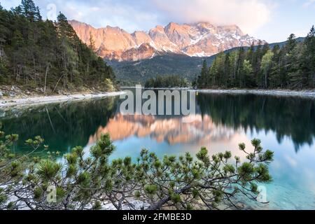 Der morgendliche Blick über den Eibsee mit der Zugspitze, der sich im Wasser widerspiegelt. Die Sasseninsel liegt im See Stockfoto