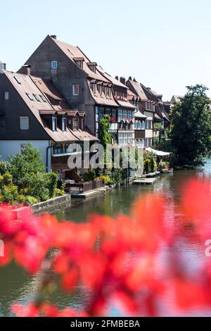 Blick auf die Fachwerkhäuser in 'Little Venice' auf die Regnitz in Bamberg in Bayern / Oberfranken Stockfoto