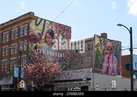 Architektur und großes Wandgemälde, das auf der Seite eines alten Gebäudes während des Vancouver Mural Festivals in Mount Pleasant, Vancouver, BC, Kanada, gemalt wurde Stockfoto