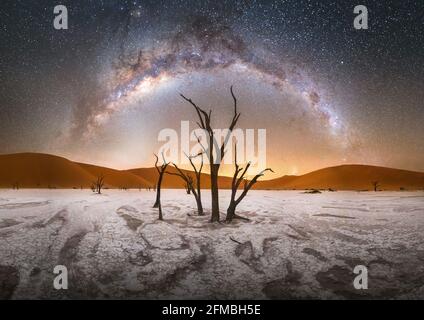 Nachtaufnahme mit der Milchstraße über Deadvlei im Namib Nauklauft National Park in Namibia. Stockfoto