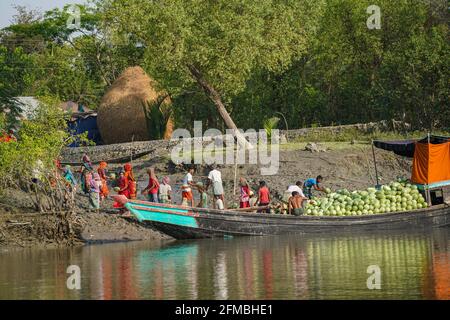 Khulna, Bangladesch. April 2021. Arbeiter, die Wassermelonen auf ein Frachtschiff in Dacope verladen.7,512 Hektar Land wurden in diesem Jahr unter Wassermelonenanbau gebracht, nachdem die Bauern in Khulna, insbesondere die sandigen Küstengebiete, ermutigt wurden durch die Ergebnisse des vergangenen Jahres, die mehr Gewinn brachten als andere traditionelle Kulturen. Kredit: SOPA Images Limited/Alamy Live Nachrichten Stockfoto