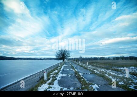 Einzelner Baum auf einem Damm auf einem gefrorenen See. Winterlandschaft Stockfoto