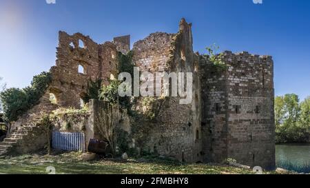 Ruinen der befestigten Mühle am Fluss Aude bei Canet d'Aude im Frühjahr. Errichtet im XIII Jahrhundert. Es gehörte den Erzbischöfen von Narbonne. Monument historique. Stockfoto