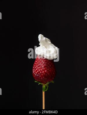 Eine Erdbeere, die auf einem Holzspieß aufgereiht ist, ist darin bedeckt Creme vor schwarzem Hintergrund Stockfoto