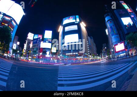 Neon-Plakatwand und LED-Anzeigen am Shibuya-Übergang in der Nacht Stockfoto