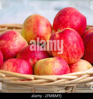 Rote reife Äpfel in einem Weidenkorb. Selektiver Fokus Stockfoto