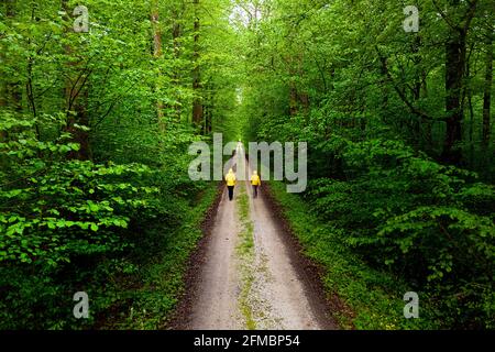 Mutter und Sohn wandern auf der Forststraße durch dichte Wälder im Krakovo-Wald, Slowenien Stockfoto